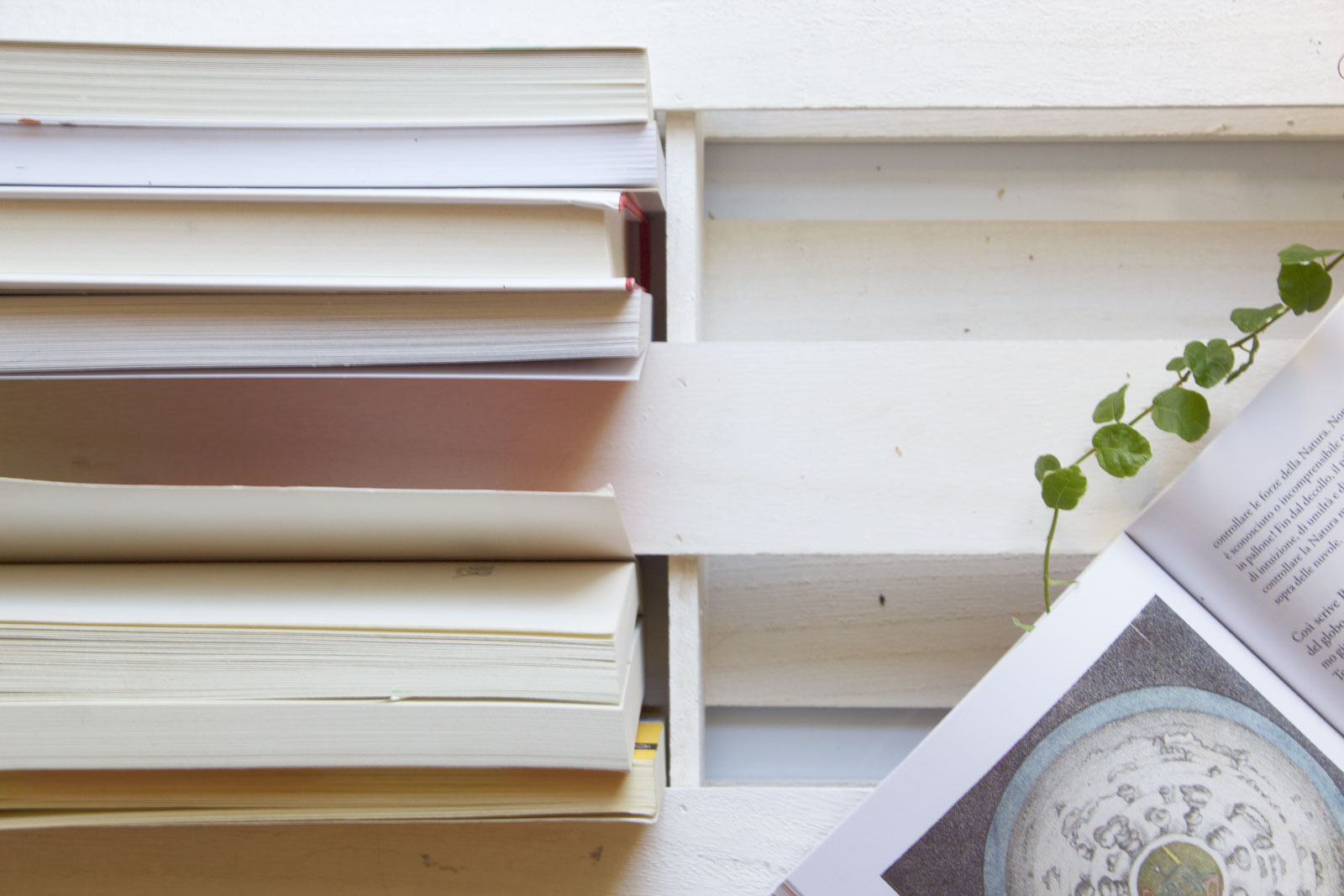 Il mio libraio è differente